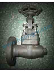 API forged steel speical flange gate valve